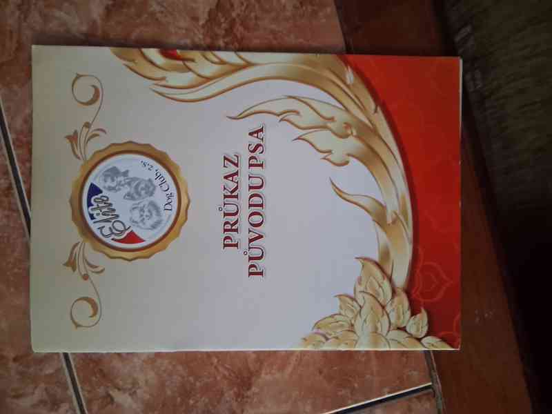 Gold imperia perla princess - foto 4