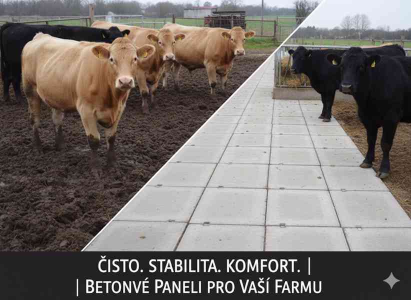 Panely betonové starší 1,8x0,55x0,15 m - foto 3