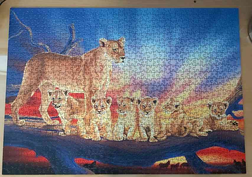 Puzzle Lvice a lvíčata - foto 4