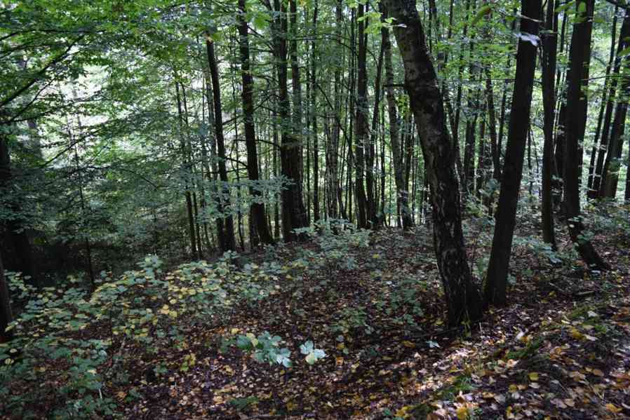 Prodej uceleného souboru pozemků v Suchovršicích - foto 3