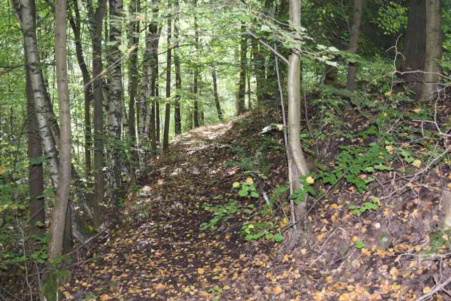 Prodej uceleného souboru pozemků v Suchovršicích - foto 7