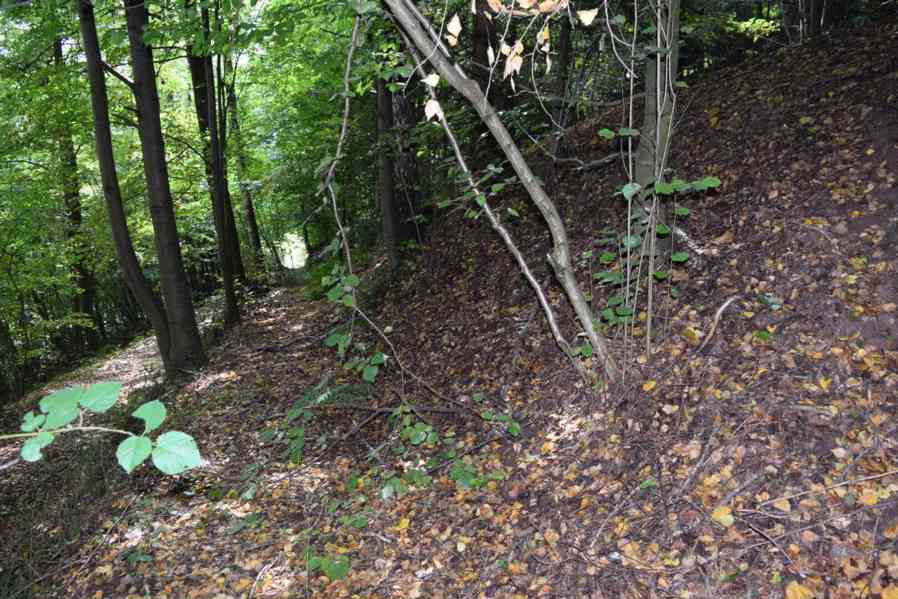 Prodej uceleného souboru pozemků v Suchovršicích - foto 11