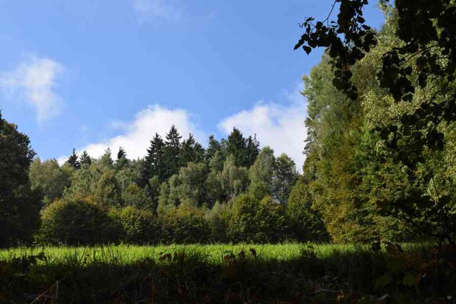 Prodej uceleného souboru pozemků v Suchovršicích - foto 6