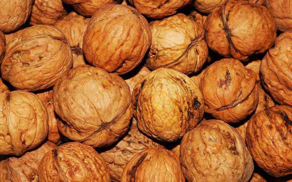 Vlašské ořechy - 60 Kč/kg