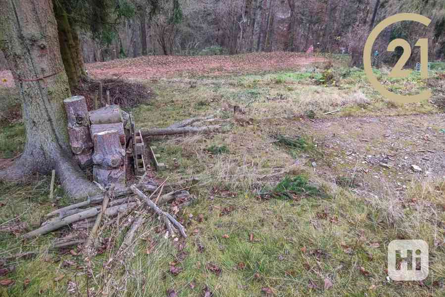 Prodej, Pozemky - trvalý travní porost,  m2 - Chyňava - Podkozí - foto 9