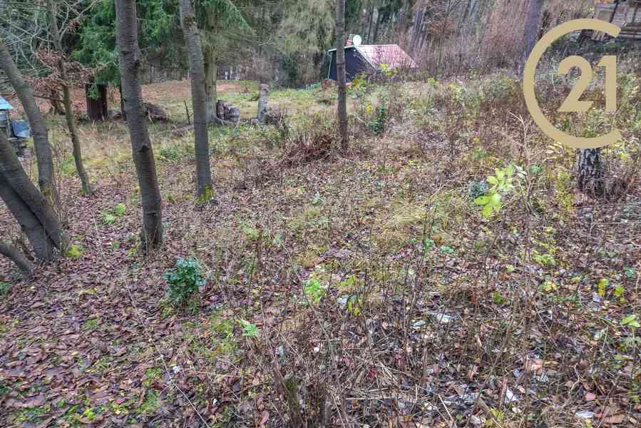 Prodej, Pozemky - trvalý travní porost,  m2 - Chyňava - Podkozí - foto 8