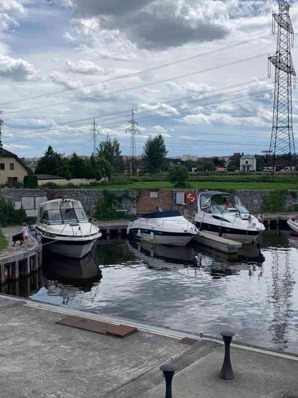 Bayliner 275 - foto 6
