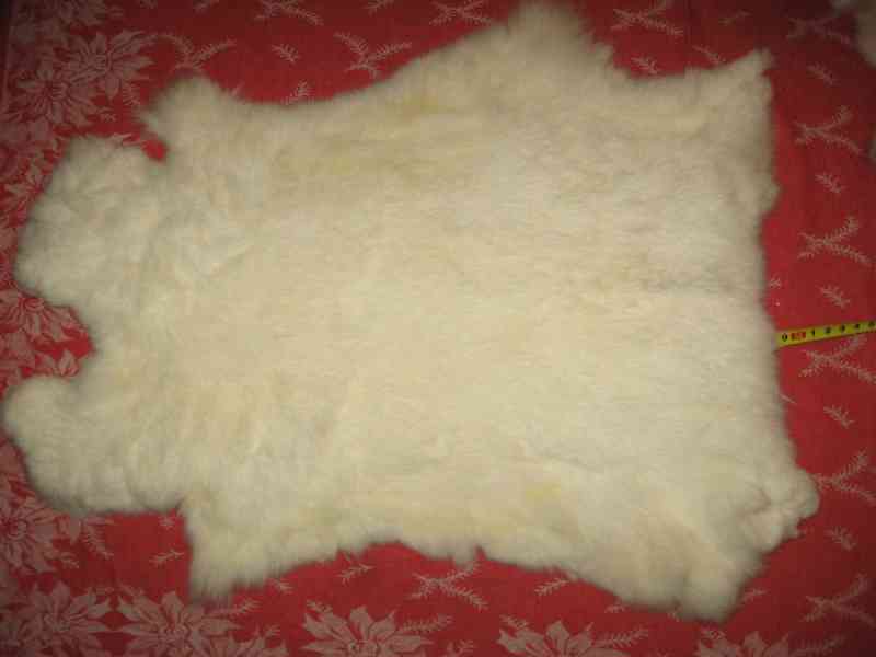 vyčiněné kůže - foto 8