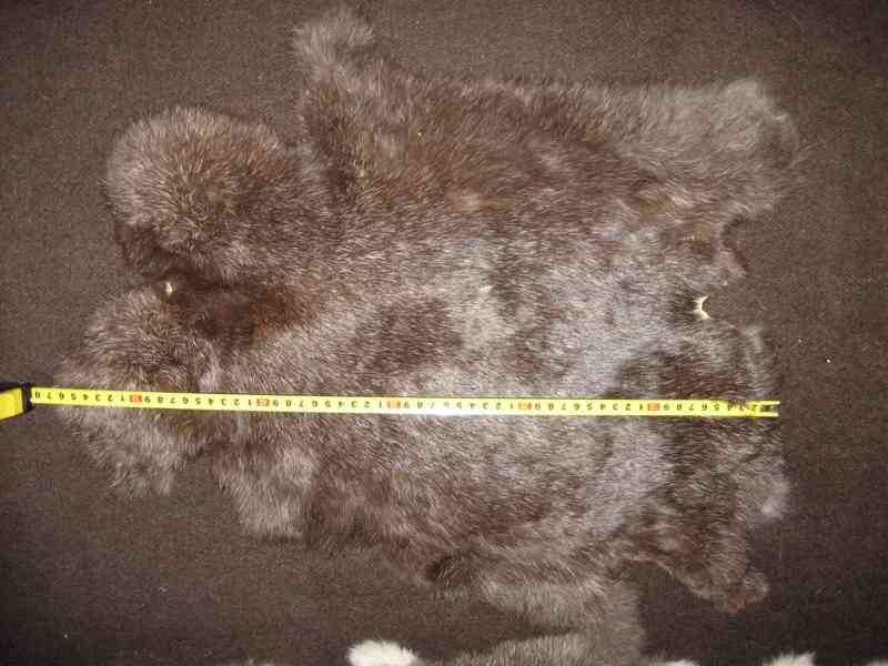 vyčiněné kůže - foto 2