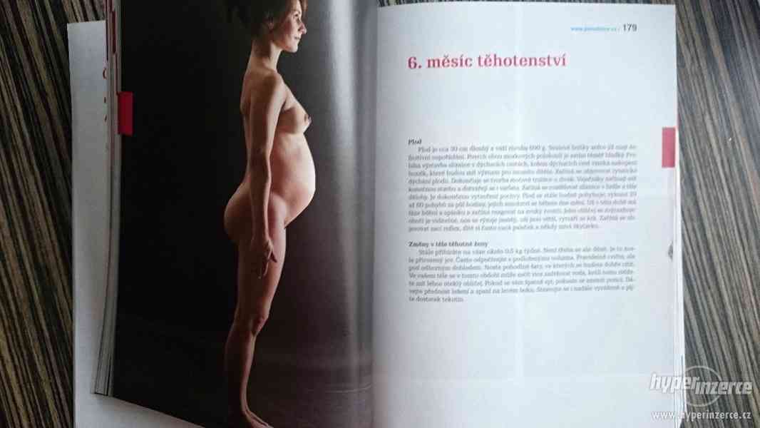 Kniha o těhotenství a dítěti - foto 4
