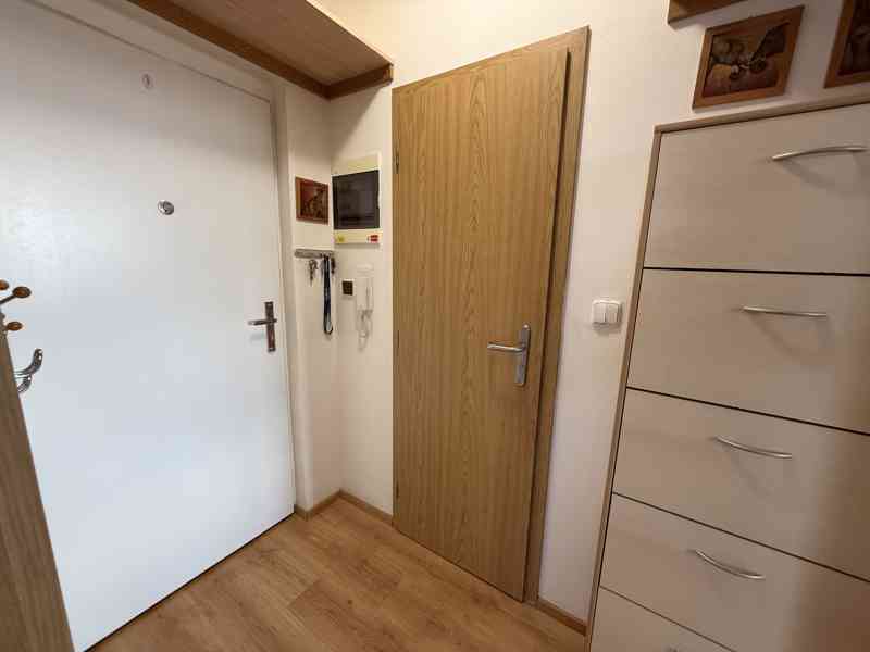 PRONÁJEM CIHLOVÉHO BYTU 2+KK VE ŠLAPANICÍCH U BRNA   - foto 18