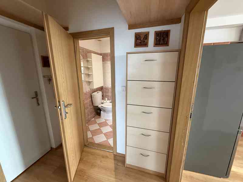 PRONÁJEM CIHLOVÉHO BYTU 2+KK VE ŠLAPANICÍCH U BRNA   - foto 17