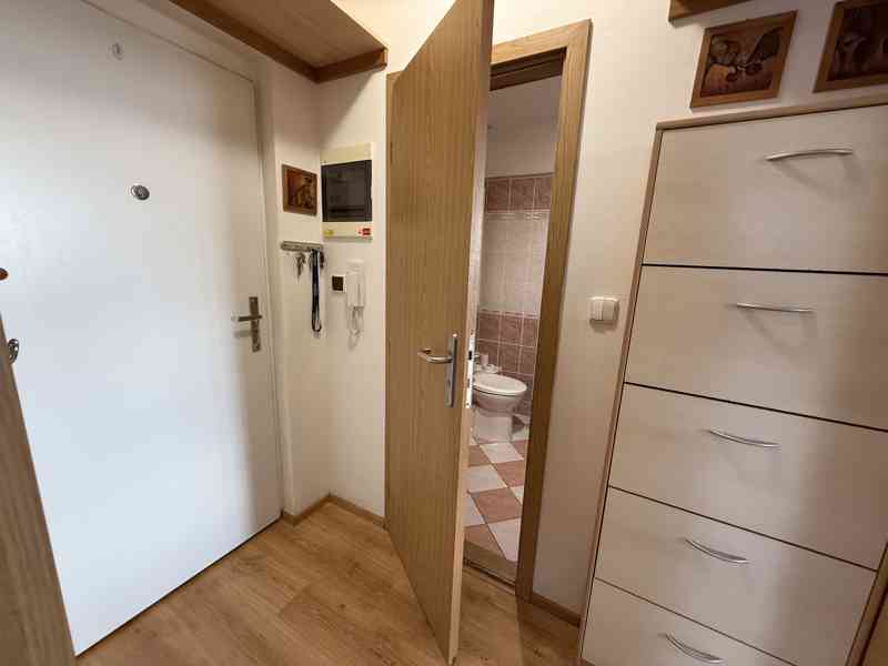 PRONÁJEM CIHLOVÉHO BYTU 2+KK VE ŠLAPANICÍCH U BRNA   - foto 15