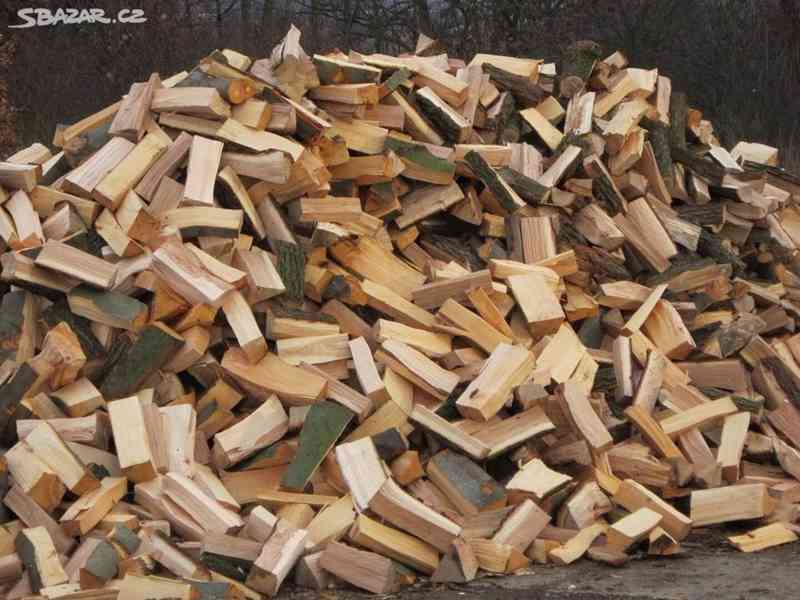 Palivové dřevo Briza  - foto 2