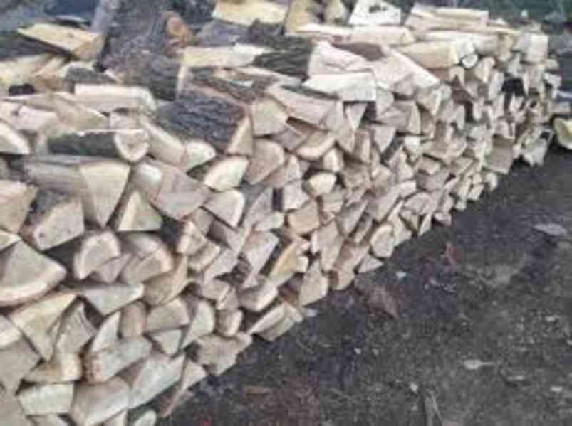 Palivové dřevo Briza  - foto 3