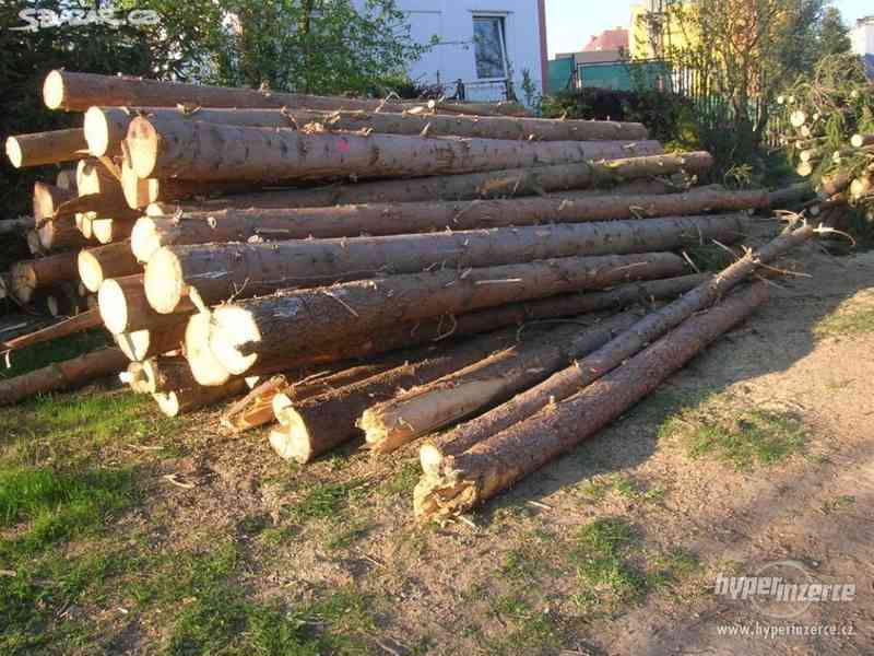 Palivové dřevo skladem - foto 1