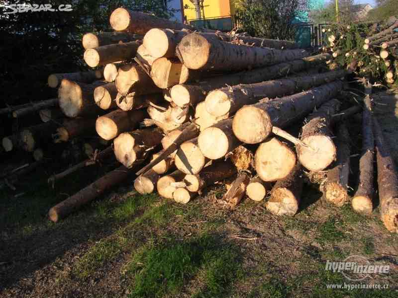 Palivové dřevo skladem - foto 2