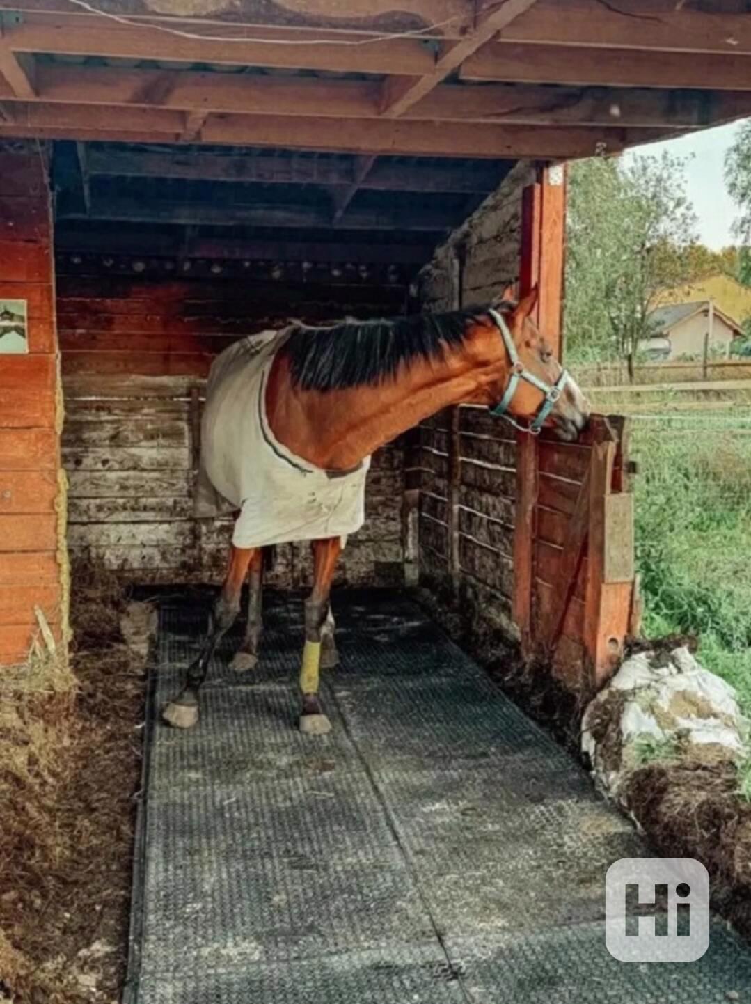 Odolná PVC rohož 120×80 cm - foto 1