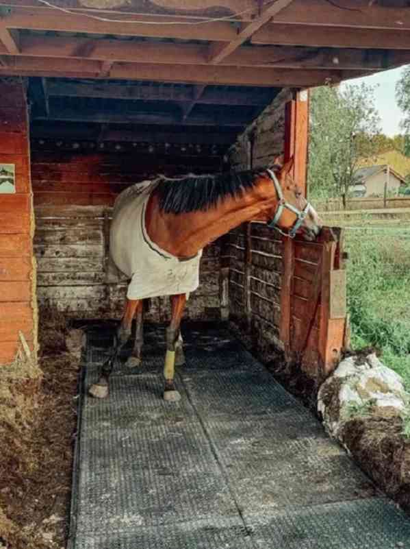 Odolná PVC rohož 120×80 cm - foto 1
