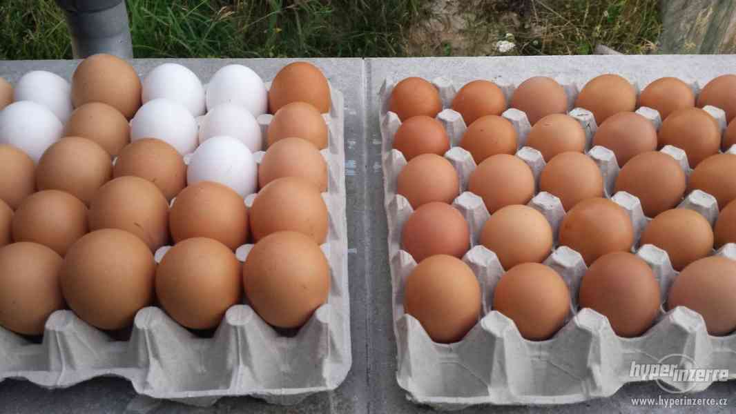 Prodej senných vajec ze dvora - foto 1