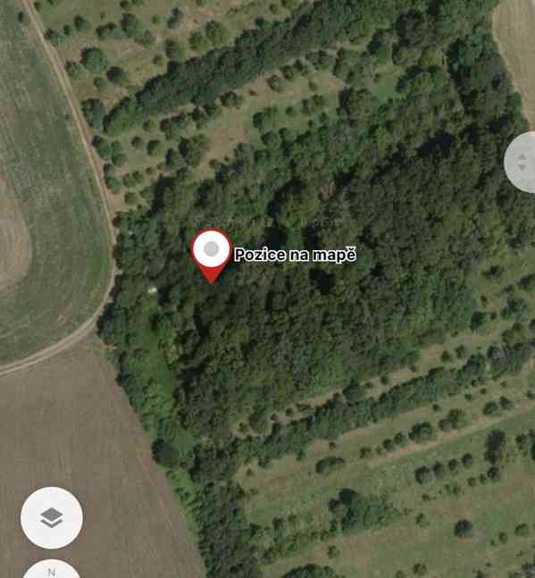 Lesní pozemek Drslavice - foto 6