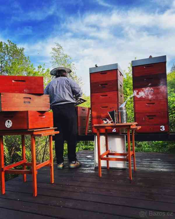 Med lesní a květový přímo od včelaře - foto 2