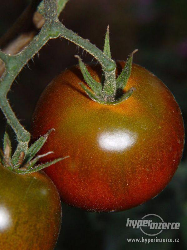 Divoké rajče - semena - foto 3