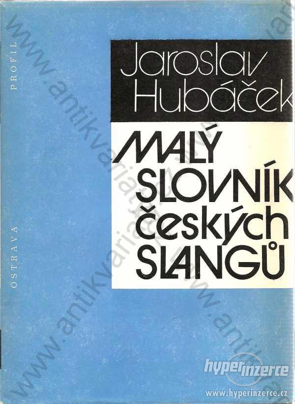 Malý slovník českých slangů Jaroslav Hubáček - foto 1