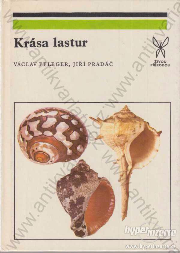 Krása lastur V. Pfleger, J. Pradáč Academia 1981 - foto 1