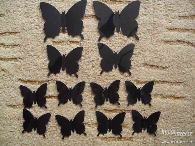 3D nástěnná dekorace - Motýli - foto 3