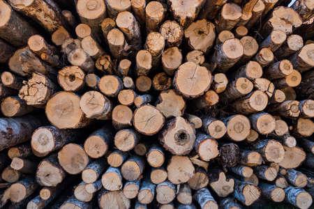 Timbars in Africa uganda for sale  - foto 12