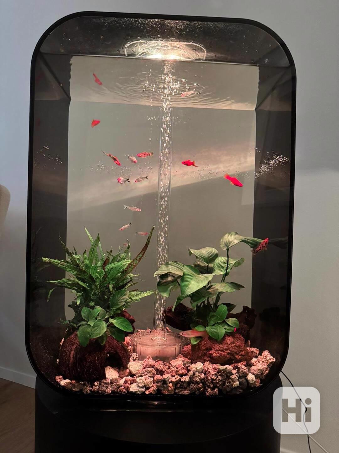 Akvárium Biorb Life, černé 60l - foto 1