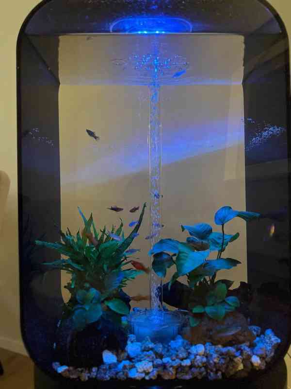 Akvárium Biorb Life, černé 60l - foto 2