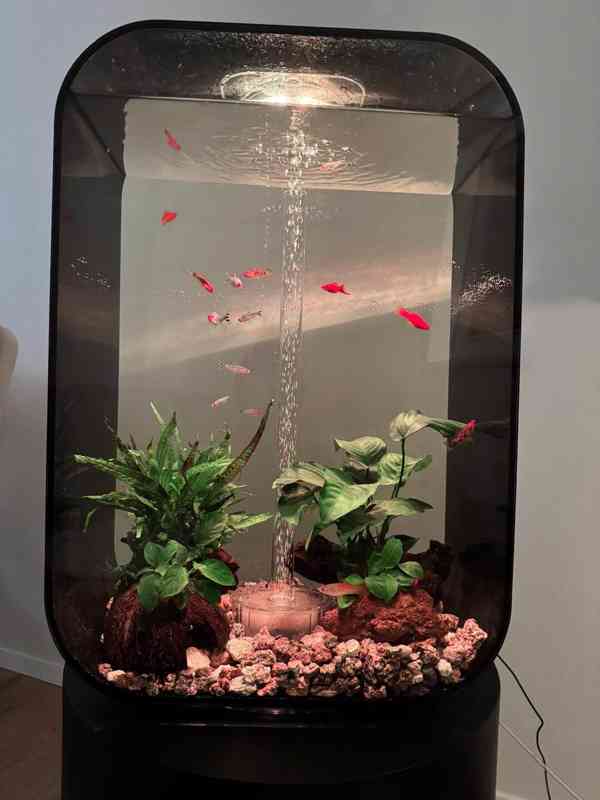 Akvárium Biorb Life, černé 60l - foto 1