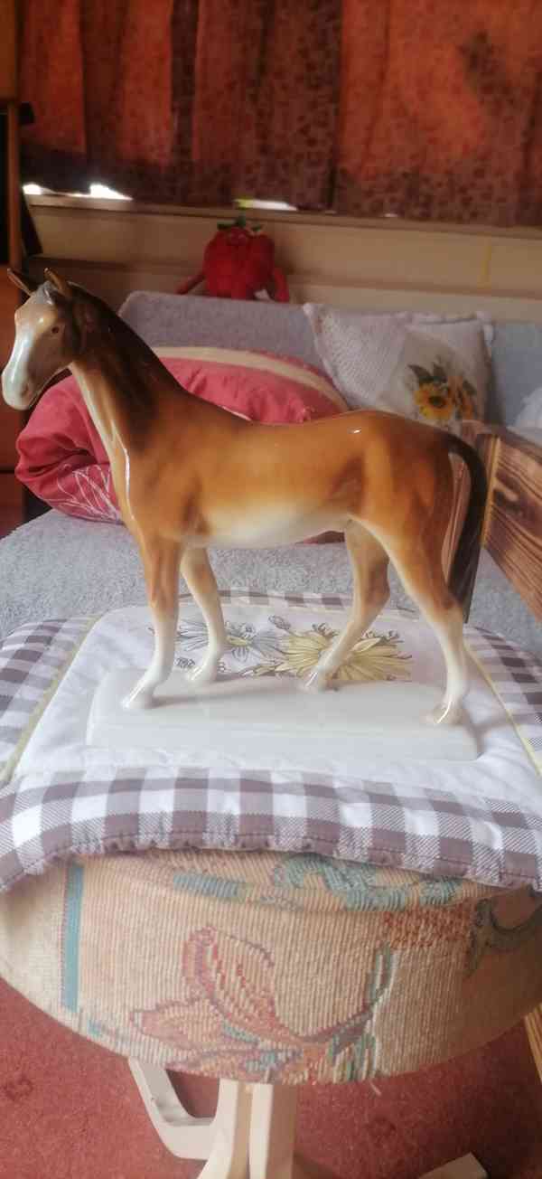 Porcelanove konĕ  - foto 2