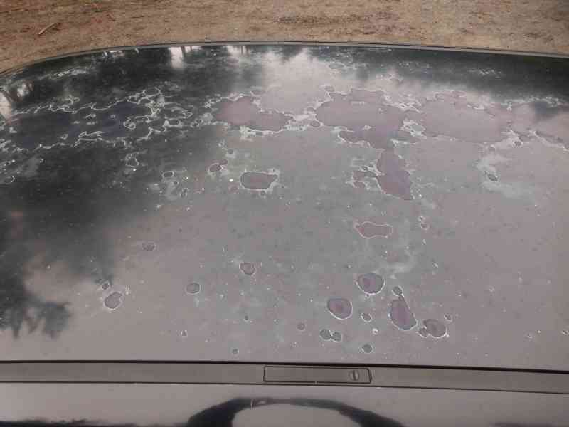 Prodám Ford Focus - foto 11