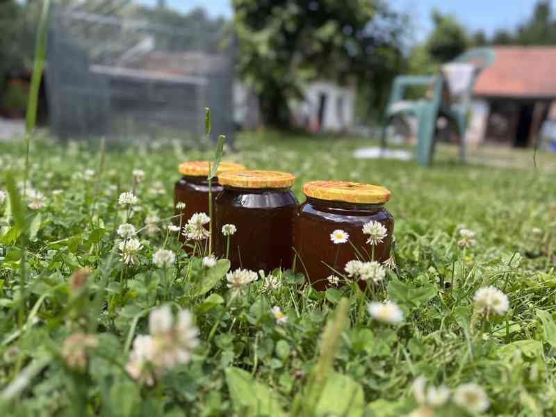 Med lesní s nádechem lípy  - foto 3