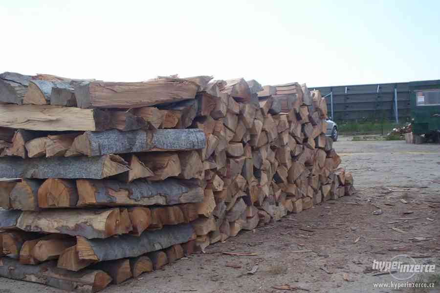 Prodám palivové dřevo - foto 4