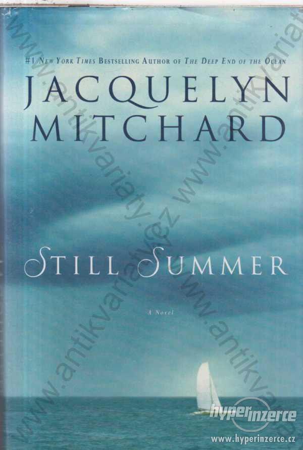 Still Summer Jacquelyn Mitchard 2007 angličtina - foto 1