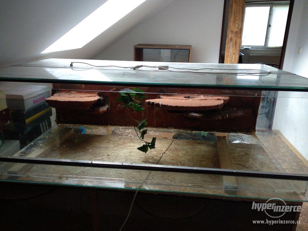 Větší terárium - foto 1