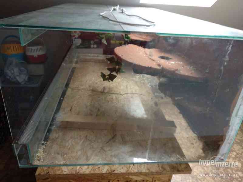 Větší terárium - foto 3