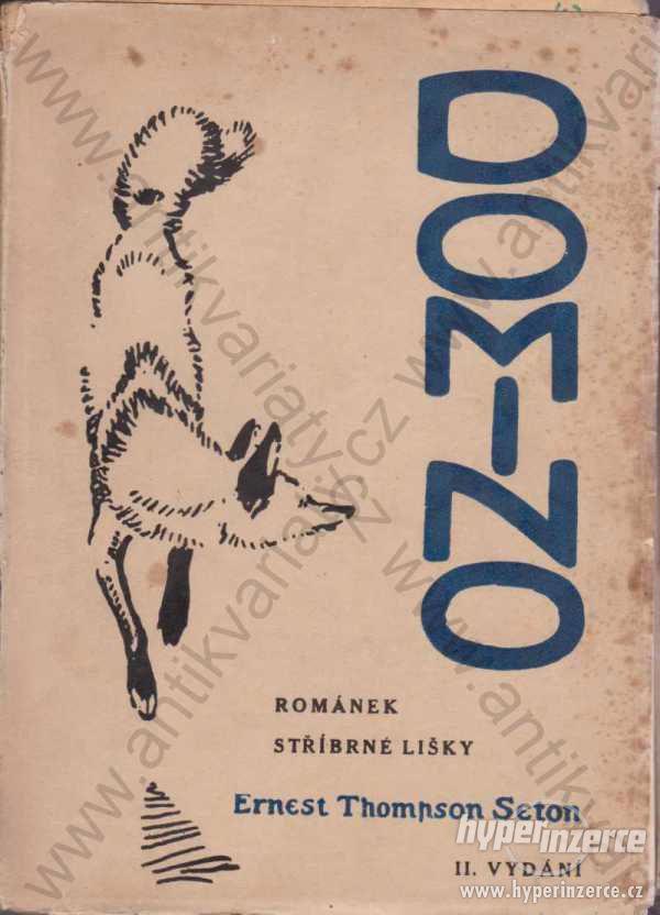 Domino Románek stříbrné liškySeton Knihovna Walden - foto 1