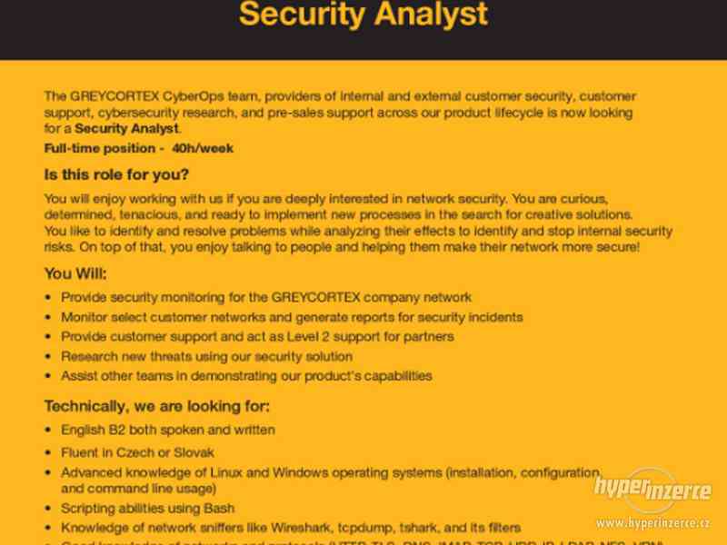 Security Analyst - foto 1
