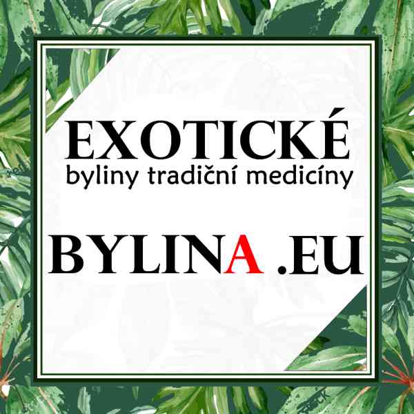 BitterKola ... spalovač tuků, diabetes, játra - foto 1