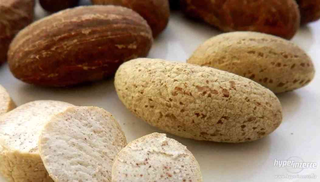 BitterKola ... spalovač tuků, diabetes, játra - foto 4
