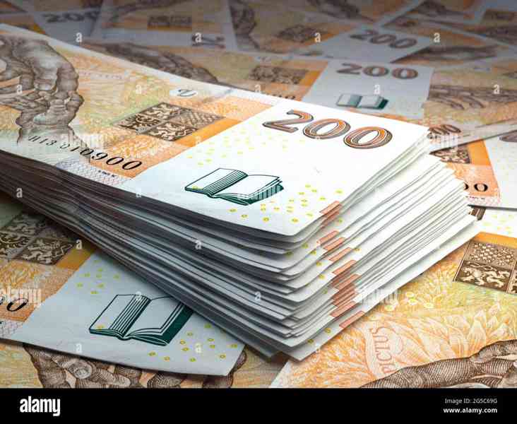 Finanční pomoc mezi jednotlivci - foto 3
