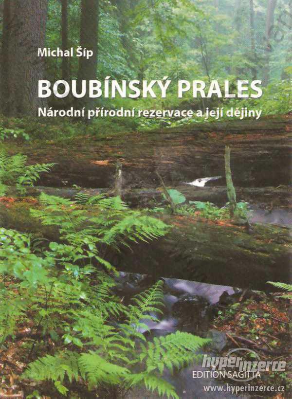 Boubínský prales Michal Šíp 2006 Edition Sagitta - foto 1