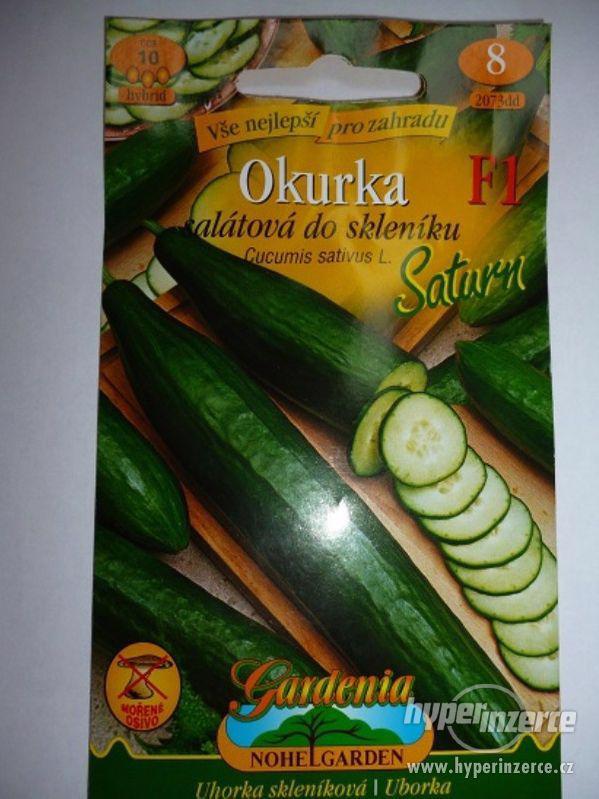 Okurka salátová Saturn - Semena /www.rostliny-prozdravi.cz - foto 1