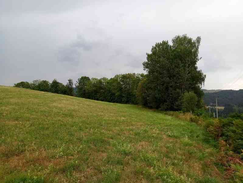 Prodej pole a louky nad Velkými Hamry-v budoucnu na zástavbu - foto 2