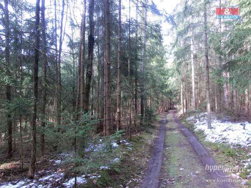 Prodej lesa, 12711 m?, Vlašim - foto 5